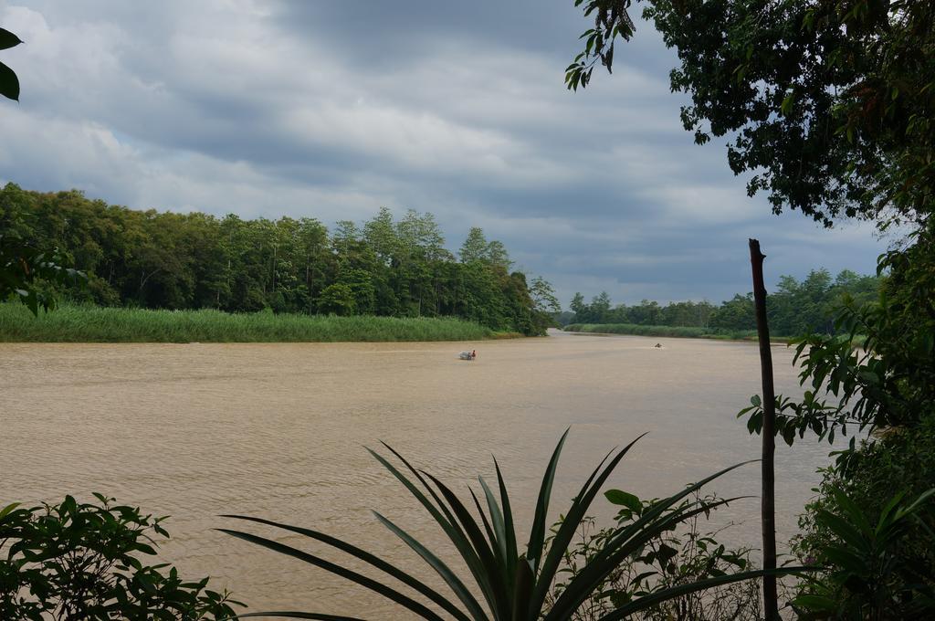 Borneo Natural Sukau Bilit Resort Εξωτερικό φωτογραφία